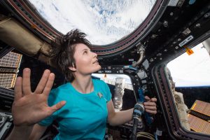 Di NASA on The Commons - https://www.flickr.com/photos/nasacommons/26665669688/, No restrictions, https://commons.wikimedia.org/w/index.php?curid=100203111